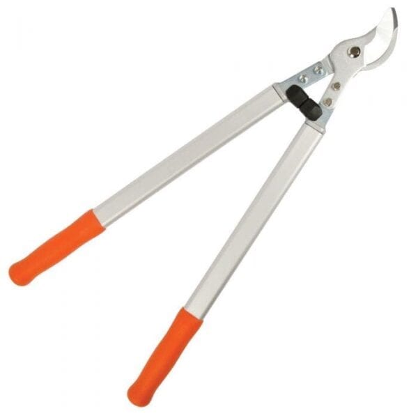 A pair of orange handles are on the side of this pair of scissors.