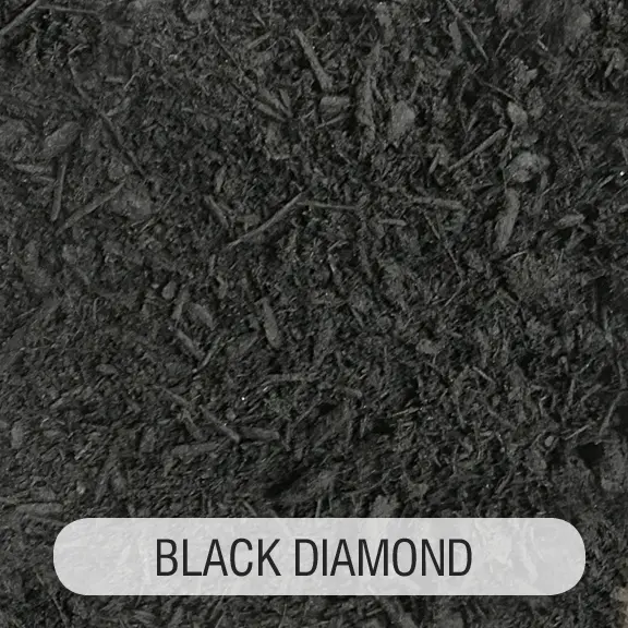 A black diamond color sample with the word " black diamond ".