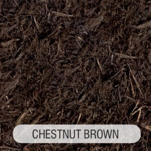 Grandscape® “Chestnut Brown”