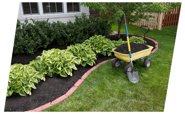 A garden with a wheelbarrow and shovel in the grass.